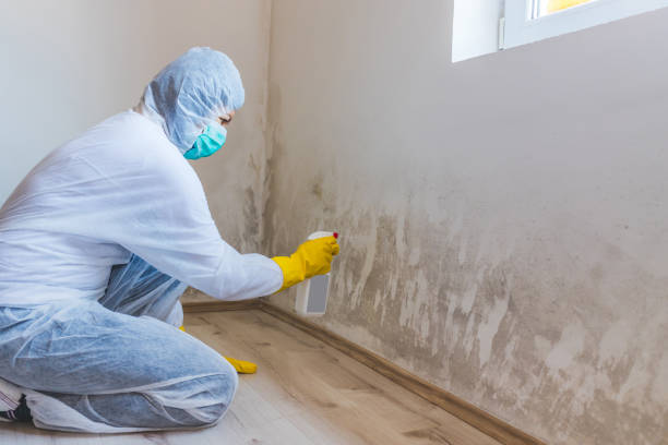 Licensed Mold Testing service in Melissa, TX - WQB Mold Removal