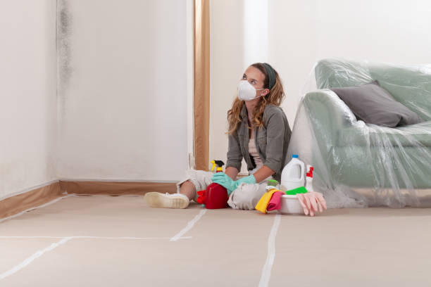 Reliable Mold Testing contractor in Melissa, TX by WQB Mold Removal